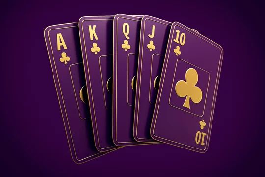 bwin Casino آن لائن کیسینو میں کھیلنے کی وجوہات